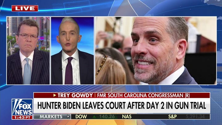 Gowdy says you can 'rule this out' in Hunter Biden gun trial