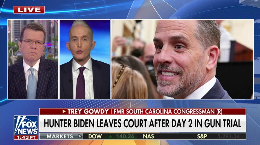 Gowdy says you can 'rule this out' in Hunter Biden gun trial