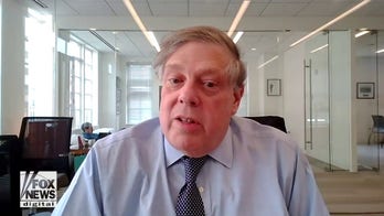 Biden will face 'devastatingly bad' midterms if he remains cozy with left wing, former Clinton adviser says