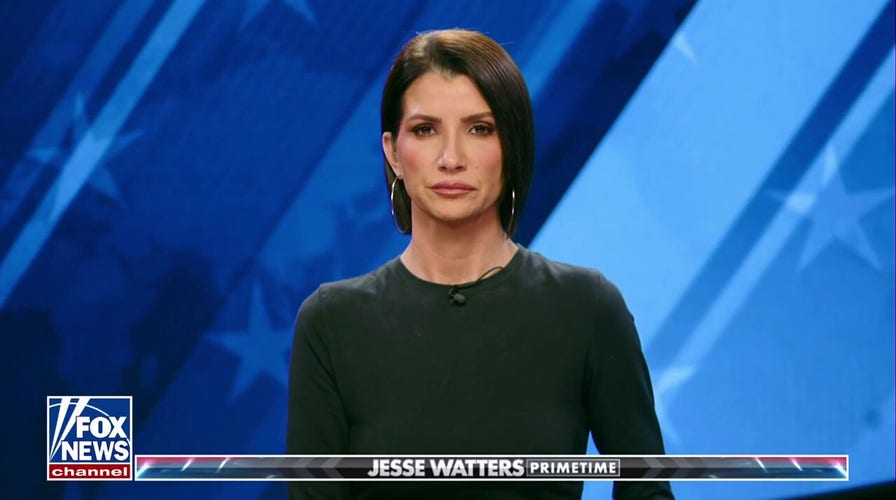 Democrats can't 'un-crazy themselves,' Dana Loesch says
