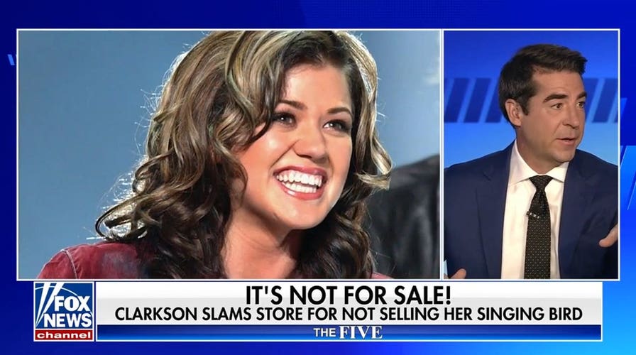 Watters ridicules Kelly Clarkson over toy store feud: 'That's pathetic!'