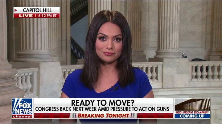 Gun control reform being discussed in the House and Senate: Hasnie