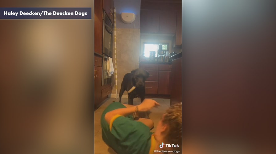 Dog’s reaction to his owner’s fake choking doesn’t go well