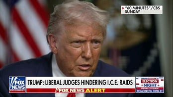 Trump reveals immigration raids 'haven't gone far enough' on '60 Minutes'
