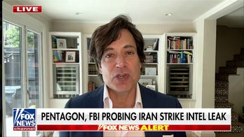 Former Dem advisor says Trump admin might be ‘overreacting’ to leaked intel