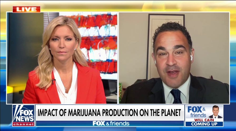 Dr. Kevin Sabet: Cannabis industry causing ‘huge problems’ for environment