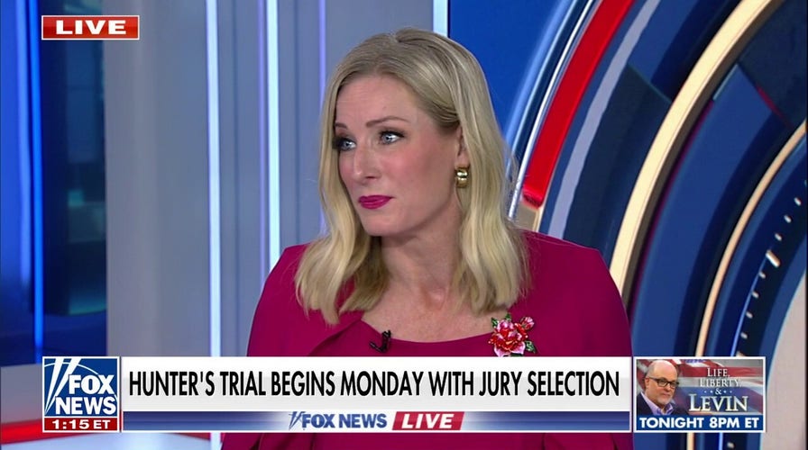 ‘Persuadable' voters still ‘on the table’ for 2024: Laura Fink 