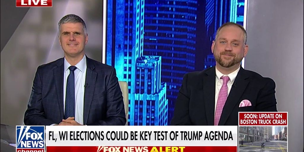 If you listen to Elon Musk talk, it's about making government stronger, panelist says