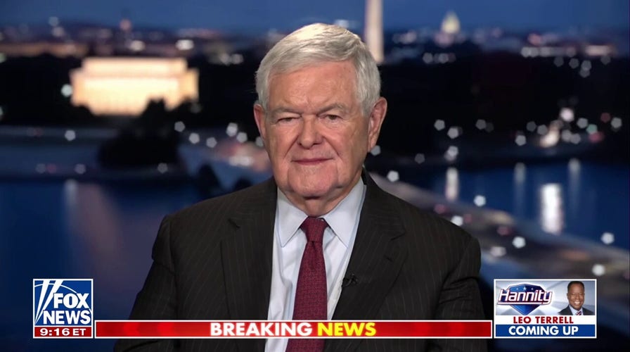 Dems are ‘enraged’ and have ‘no solutions,’ says Newt Gingrich