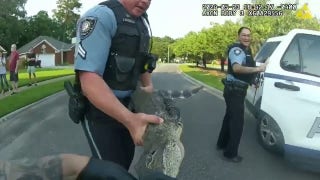 Georgia police officers 'arrest' alligator found in resident's driveway - Fox News