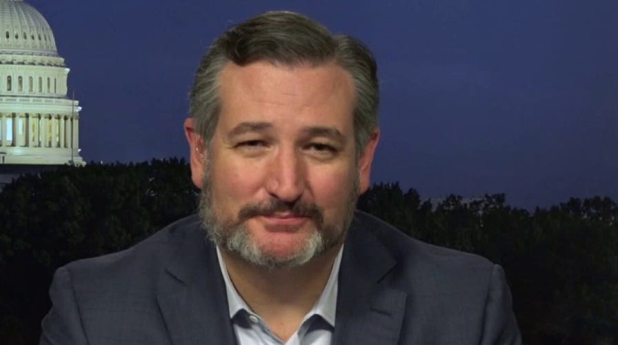 Sen. Cruz denounces Dems for encouraging radical leftists: They're 'facilitating' riots