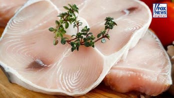 Shark meat offers lean protein, but experts warn mercury poses serious health risks