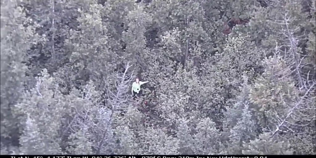 YouTube survival show contestant rescued in densely wooded forest after going missing | Fox News Video