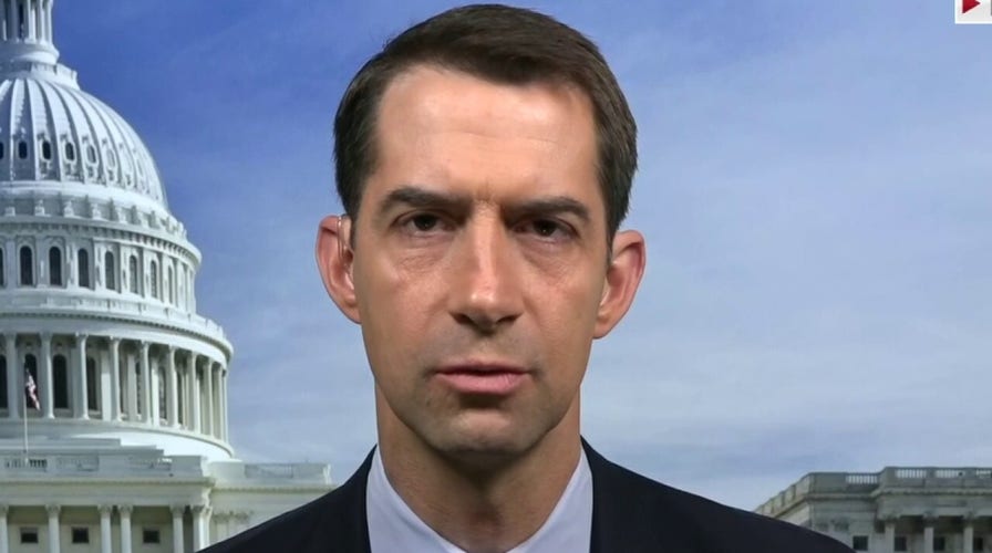 Sen. Cotton warns against Chinese espionage targeting coronavirus treatments