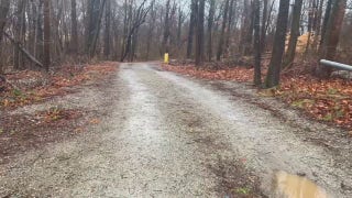 Walking path from reservoir road in Cohasset, MA to the cell tower where Ana Walshe's phone last pinged - Fox News