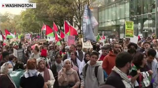 Pro-Palestinian protesters slam Israel's war on Hamas at rally in Washington DC  - Fox News