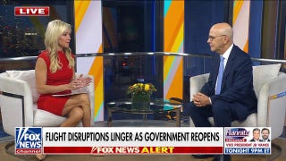 Pilot warns ‘short-handed, stressed’ air traffic delays will linger after shutdown