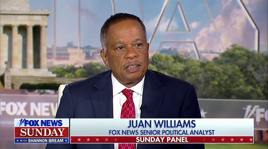 Most Democrats are ‘livid’ at what the special counsel did: Juan Williams