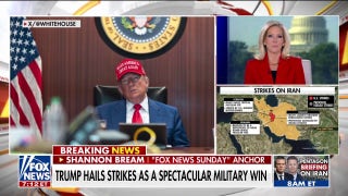 Shannon Bream: 'Would not be surprised' if Trump impeachment calls gain momentum