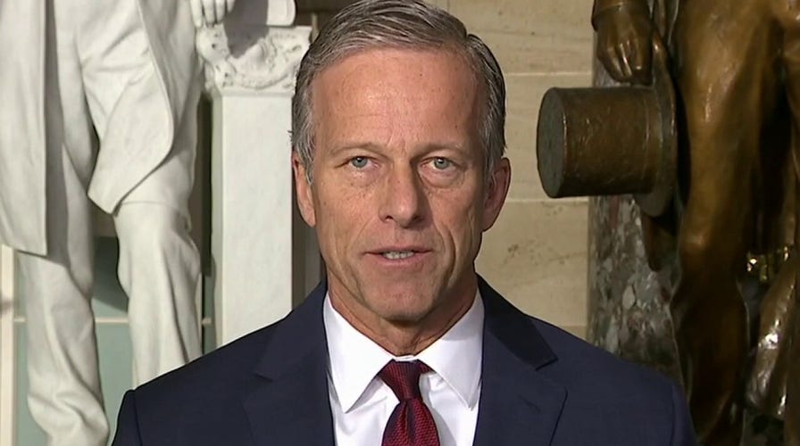 Thune: America doesn't have a revenue problem but a spending problem