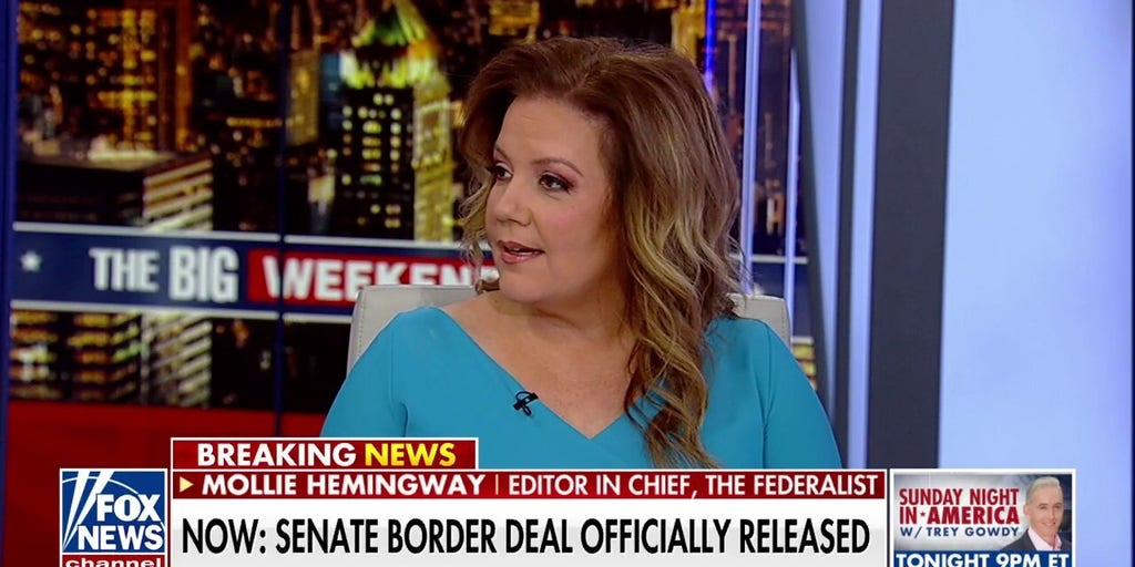 Cartels control our border right now: Mollie Hemingway Fox News Video