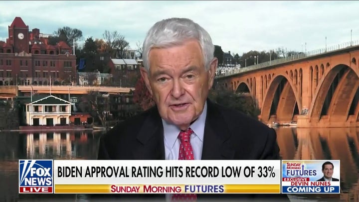 Newt Gingrich: 'This is a party and president that have totally lost their way'