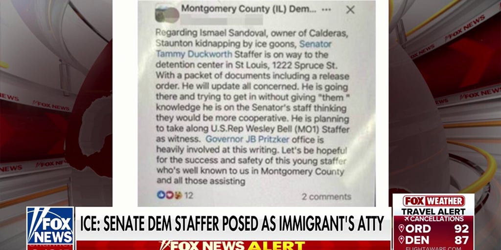 Senate Democratic staffer accused of misrepresenting himself as a lawyer to free an illegal immigrant