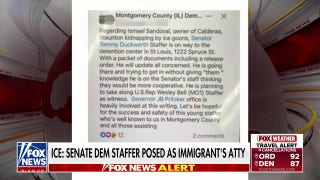 Senate Democratic staffer accused of misrepresenting himself as a lawyer to free an illegal immigrant - Fox News