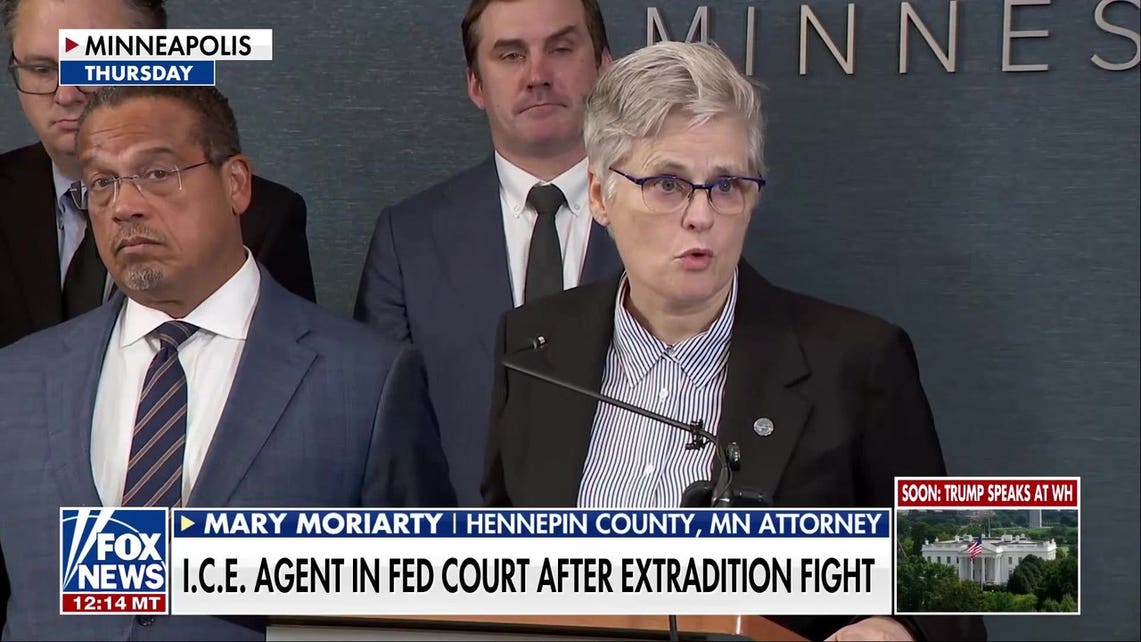 ICE agent appears in federal court after extradition fight, pleads not guilty