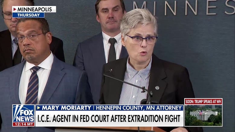 ICE agent appears in federal court after extradition fight, pleads not guilty