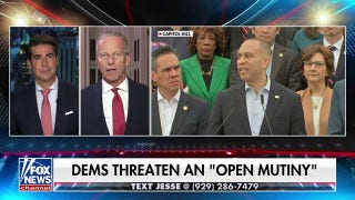 Dems' leadership on Capitol Hill is walking them 'off the cliff,' Senate Majority leader argues