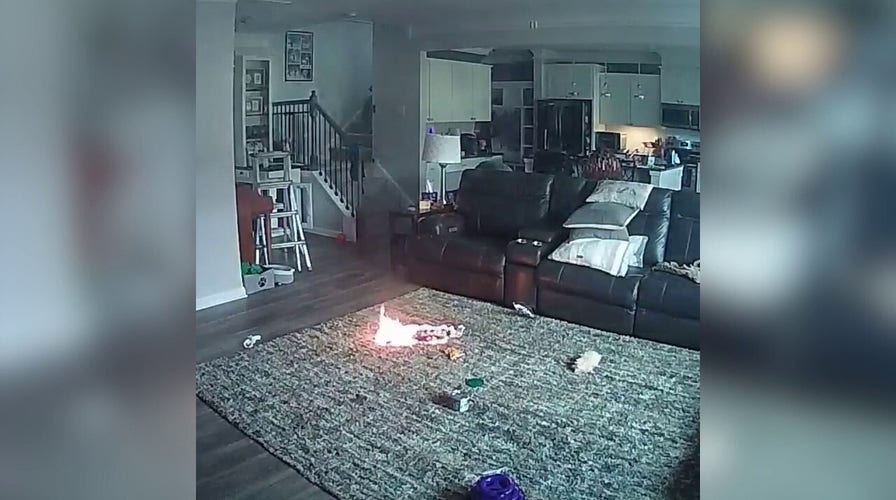 Small house fire ignites after dog chews on lithium-ion battery