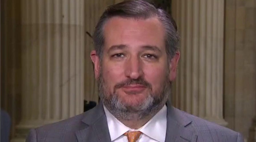 Ted Cruz: Border crisis 'direct result' of Biden's political decisions