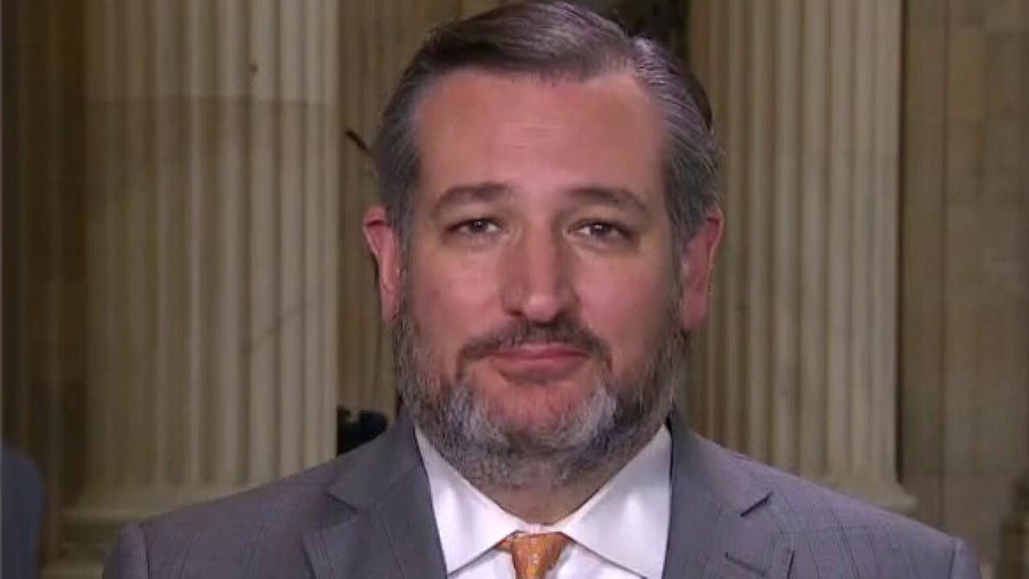 Ted Cruz: Border crisis 'direct result' of Biden's political decisions