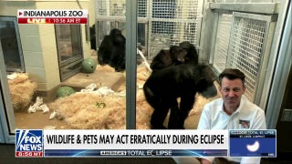 Indianapolis Zoo to study how animals react to total solar eclipse - Fox News