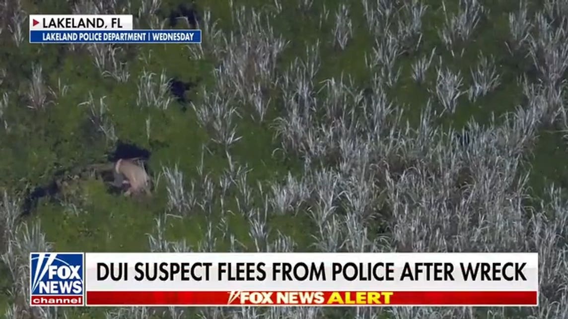 Florida DUI suspect arrested after fleeing into swamp with two babies