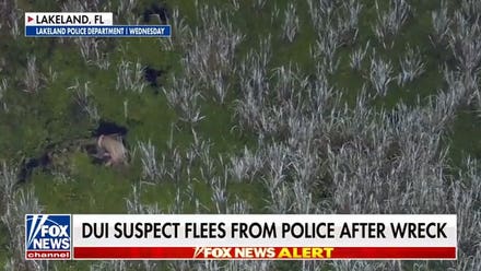 Florida DUI suspect arrested after fleeing into swamp with two babies