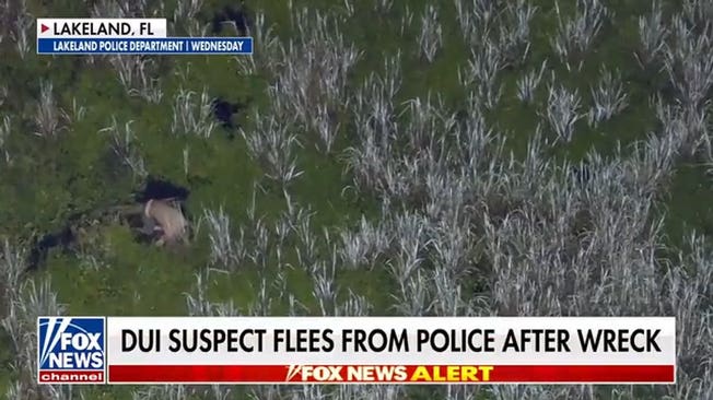 Florida DUI suspect arrested after fleeing into swamp with two babies