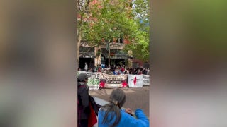 Anti-Israel agitators protest outside a World Cup match