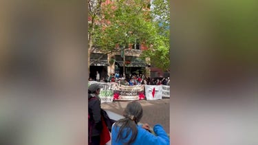 Anti-Israel agitators protest outside a World Cup match