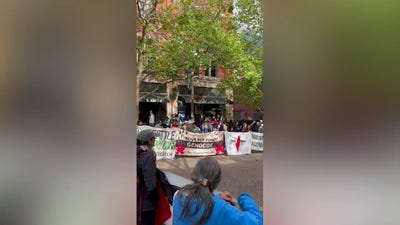 Anti-Israel agitators protest outside a World Cup match