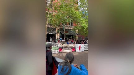 Anti-Israel agitators protest outside a World Cup match