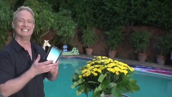 Pool renting app makes a splash