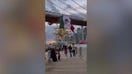 Massive sailing vessel crashes into Brooklyn Bridge