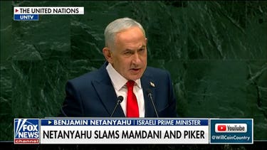 Expert on anti-Netanyahu protests: A lot of this is phony