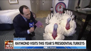Raymond Arroyo gobbles with presidential turkeys Liberty and Bell - Fox News