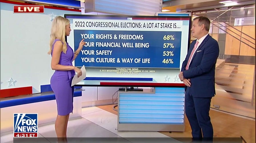 'Freedom' is a 'macro theme' of the midterm elections: Jim McLaughlin