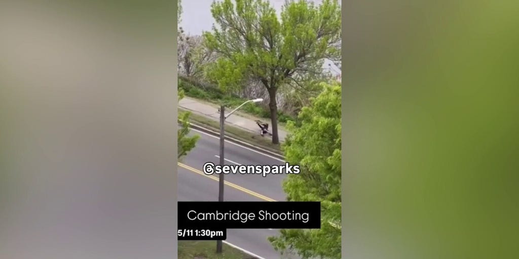 Dramatic video shows Cambridge suspect open fire on authorities with long gun in broad daylight