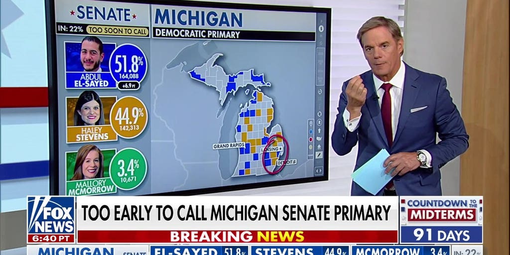 Michigan Senate primary remains too early to call