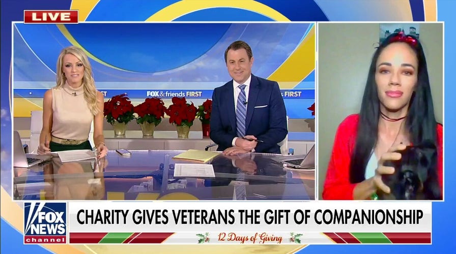 Holzerland Protection Dogs charity pairs veterans puppies before holidays